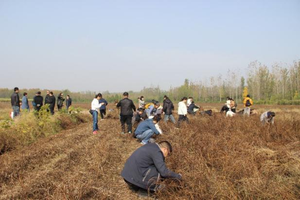 82907c22972045d8ab1e18ced896ac78.png 82907c22972045d8ab1e18ced896ac78.png